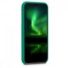 Husa pentru Apple iPhone X / iPhone XS, Silicon, Verde, 42495.142