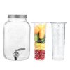 Dozator de bauturi cu infuzor de fructe si insertie de gheata Navaris, 4 l, 52425.01